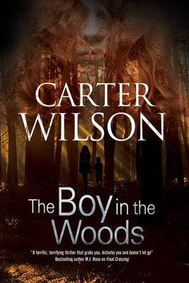Book cover for The Boy in the Woods