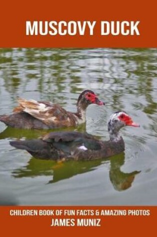 Cover of Muscovy Duck