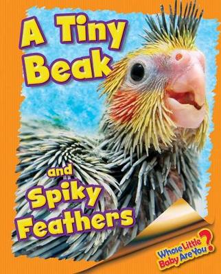 Book cover for A Tiny Beak and Spiky Feathers (Cockatiel)