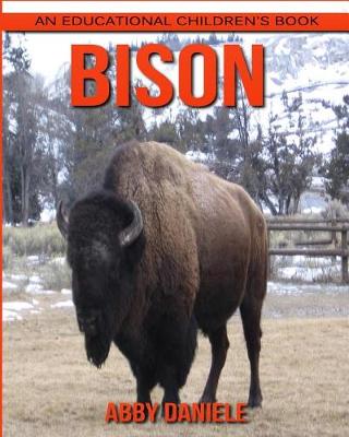 Book cover for Bison! An Educational Children's Book about Bison with Fun Facts & Photos