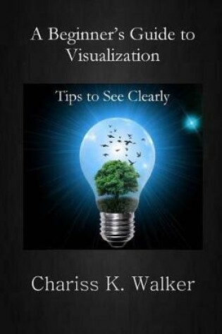 Cover of A Beginner's Guide to Visualization