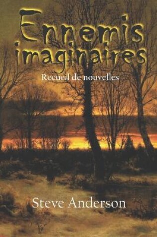 Cover of Ennemis imaginaires