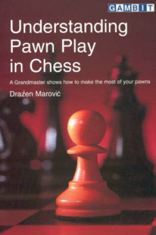 Cover of Understanding Pawn Play in Chess