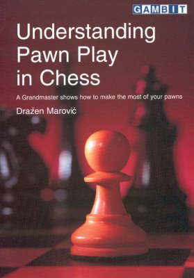 Book cover for Understanding Pawn Play in Chess