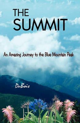 Book cover for The Summit