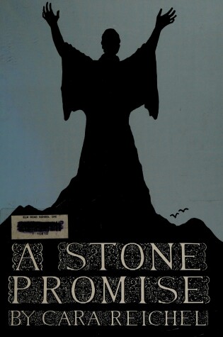 Cover of A Stone Promise