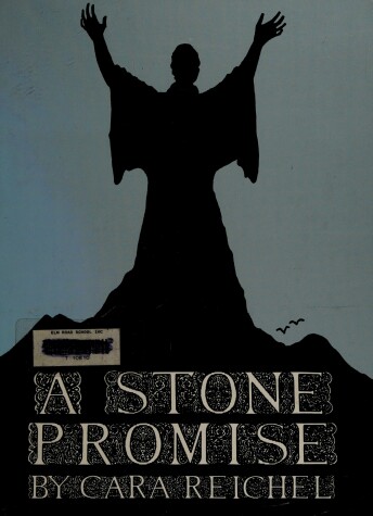 Book cover for A Stone Promise