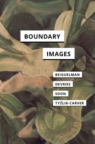 Cover of Boundary Images