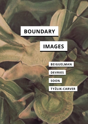 Book cover for Boundary Images