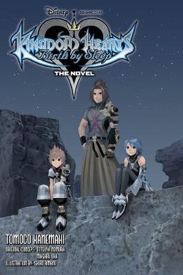 Book cover for Kingdom Hearts Birth by Sleep: The Novel
