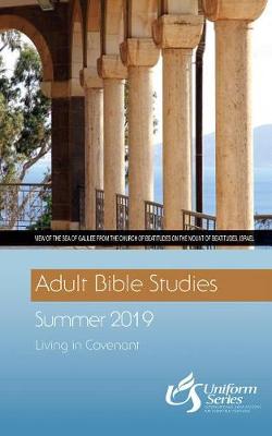 Book cover for Adult Bible Studies Summer 2019 Student [large Print]