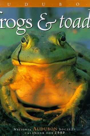 Cover of Audubon Frogs and Toads Calendar