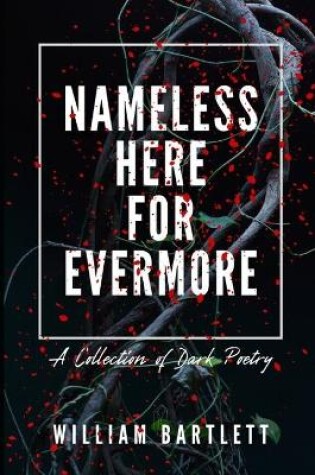 Cover of Nameless Here For Evermore