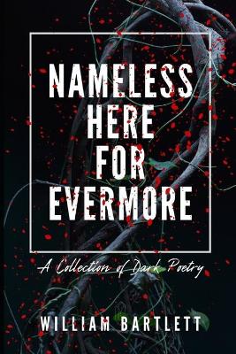 Book cover for Nameless Here For Evermore