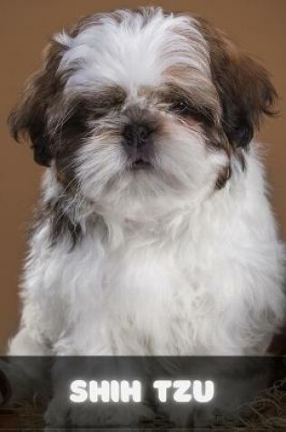 Cover of Shih Tzu