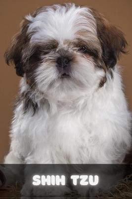 Book cover for Shih Tzu