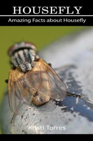 Cover of Amazing Facts about Housefly