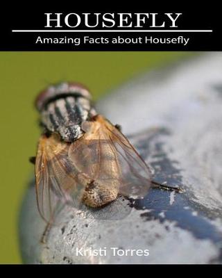 Book cover for Amazing Facts about Housefly