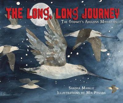 Book cover for The Long, Long Journey