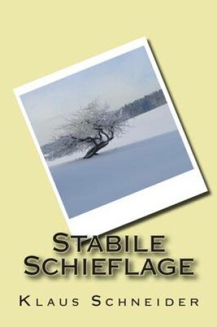 Cover of Stabile Schieflage