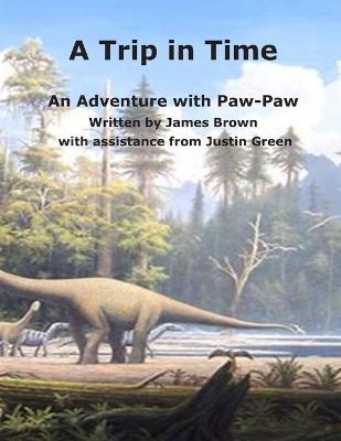 Book cover for A Trip in Time