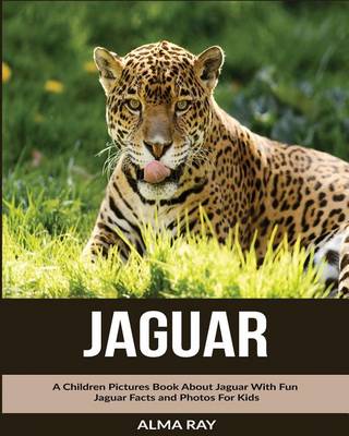 Book cover for Jaguar