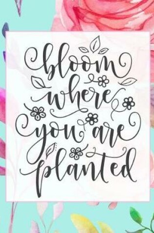 Cover of Bloom Where You Are Planted