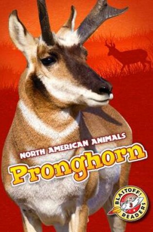 Cover of Pronghorn