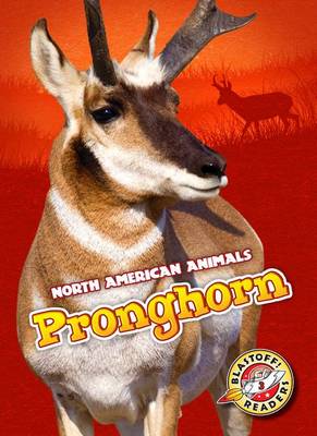 Cover of Pronghorn