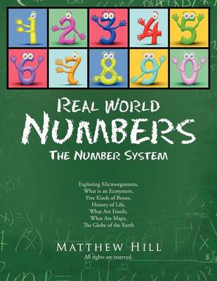 Book cover for Real World Numbers