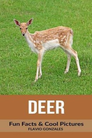 Cover of Deer