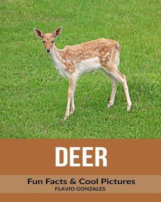 Book cover for Deer