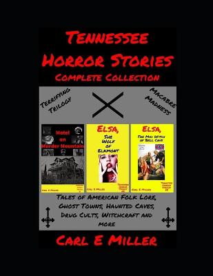 Book cover for Tennessee Horror Stories