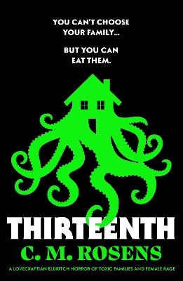 Book cover for Thirteenth