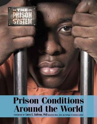Book cover for Prison Conditions Around the World