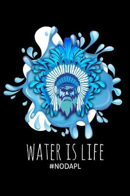 Book cover for Water Is Life #nodapl