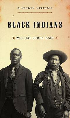 Book cover for Black Indians