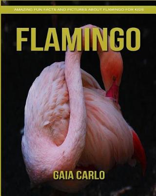 Book cover for Flamingo