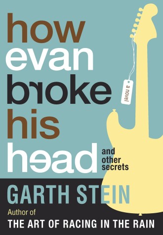 Book cover for How Evan Broke His Head