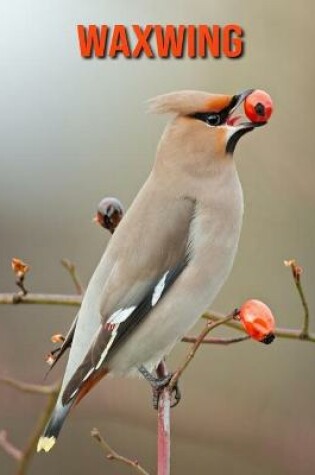 Cover of Waxwing