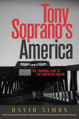 Book cover for Tony Soprano's America