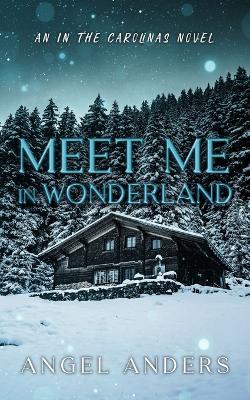 Book cover for Meet Me In Wonderland