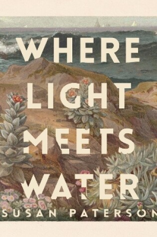 Cover of Where Light Meets Water