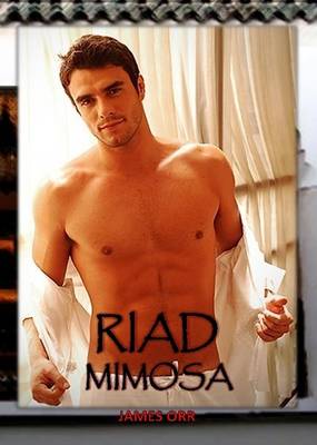 Book cover for Riad Mimosa