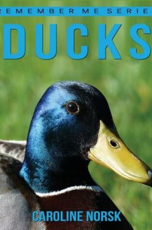 Cover of Ducks