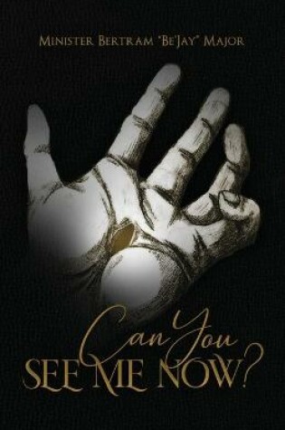 Cover of Can You See Me Now?