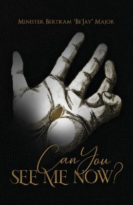 Book cover for Can You See Me Now?