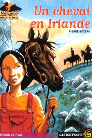 Cover of Un cheval en Irlande