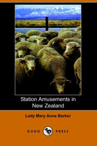 Cover of Station Amusements in New Zealand (Dodo Press)