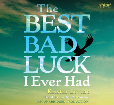 Book cover for The Best Bad Luck I Ever Had